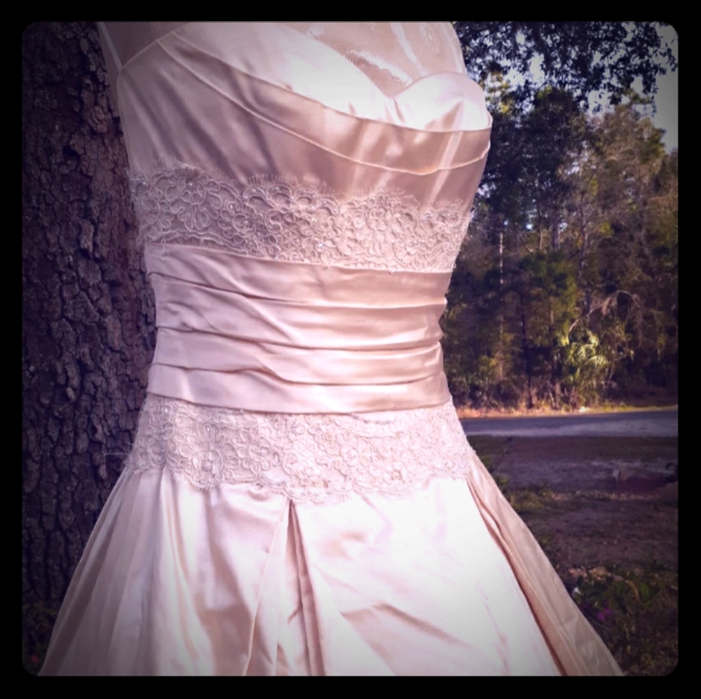 Amazing Judd Waddell wedding gown